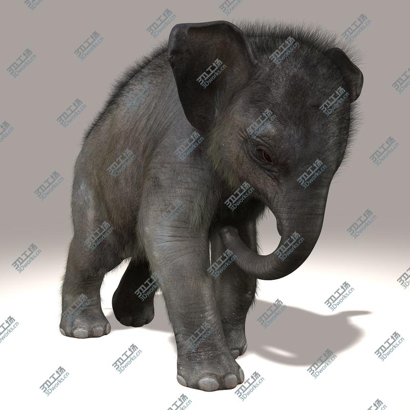 images/goods_img/20210114/Elephant Calf (ANIMATED) (FUR)/2.jpg